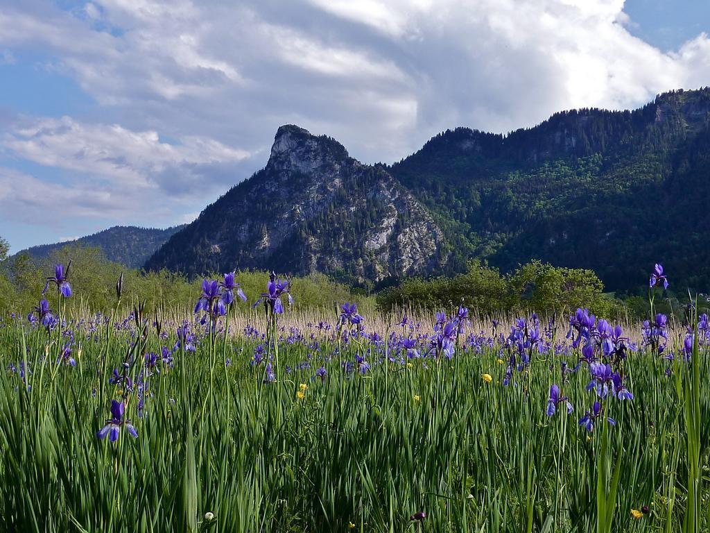 St Lukas Apartments Oberammergau Buitenkant foto