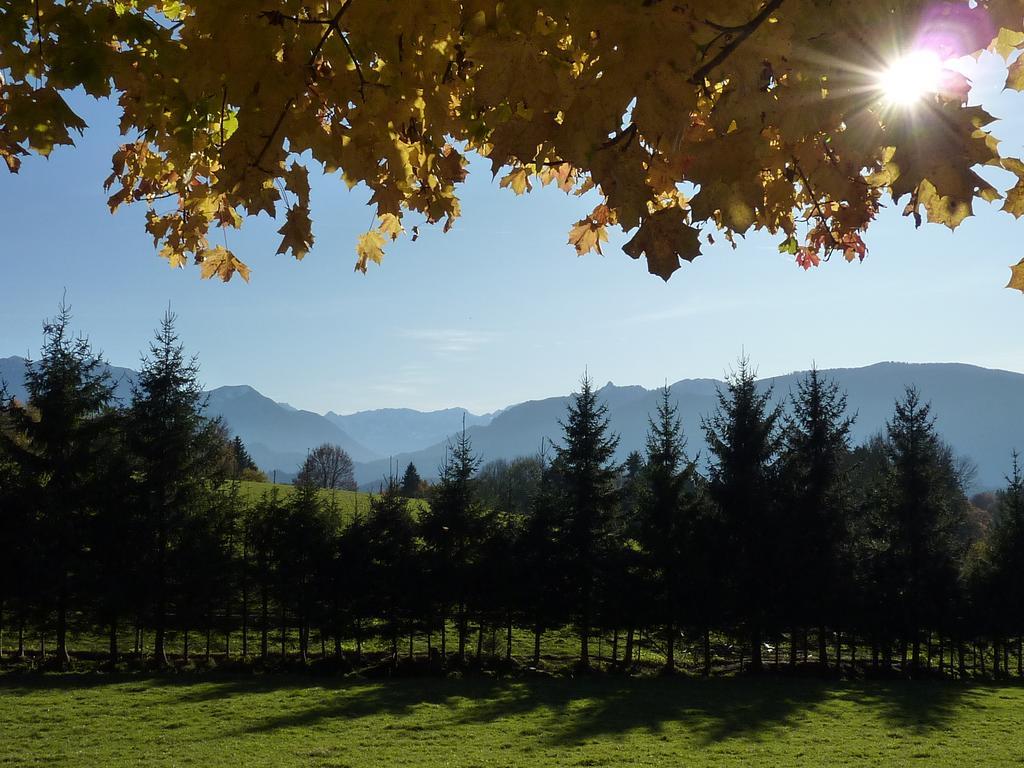 St Lukas Apartments Oberammergau Buitenkant foto